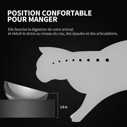 Gamelle Double Surélevée en Acier Inoxydable pour Chat et Petit Chien