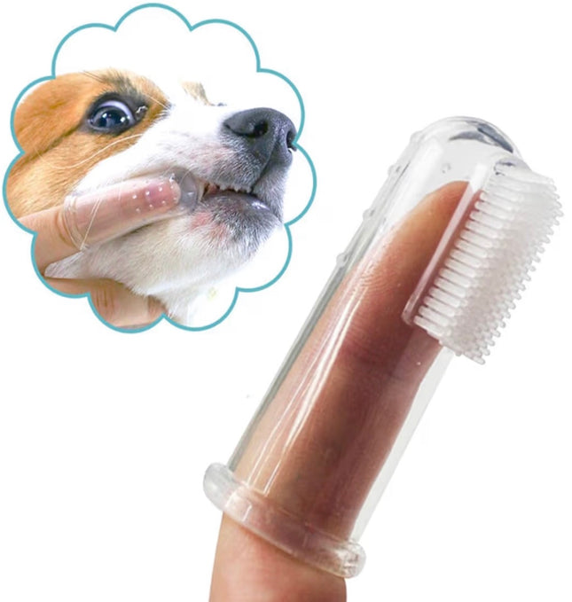 Lot de 10 brosse à dent à doigtier pour chien et chat – Silicone souple – Nettoyage bucco-dentaire