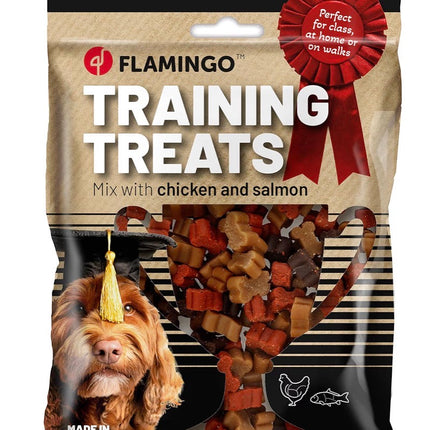 Friandises d’Entraînement pour Chien – Mini Bouchées Poulet & Saumon, Récompenses Éducatives
