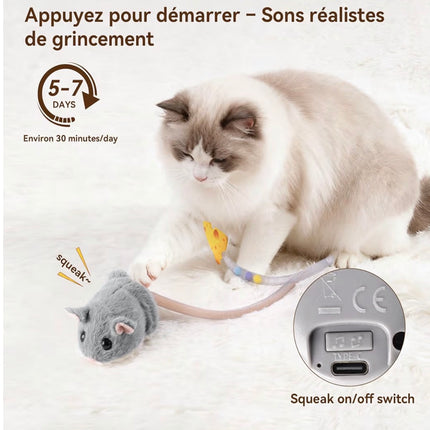 Jouet Interactif Intelligent pour Chat – Souris Électrique Rechargeable avec Catnip & Mouvement Réaliste