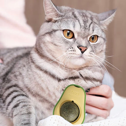 Jouet à l’herbe à chat rotatif – Stimulation, détente et hygiène pour chats