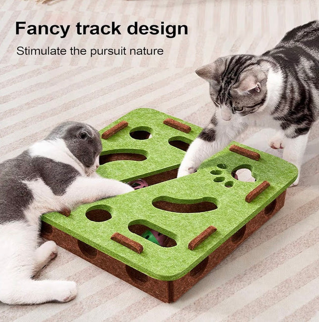 Jeu puzzle interactif pour chat – Stimulation mentale et divertissement