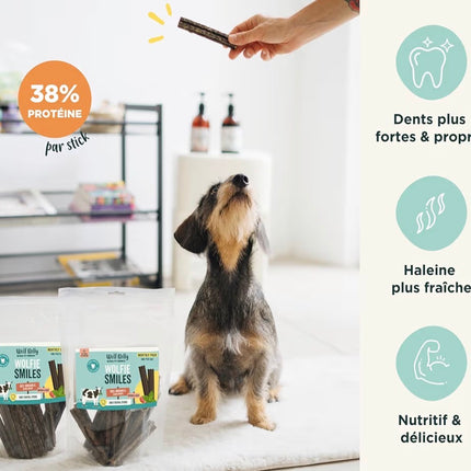 Sticks dentaires naturels pour chien – Goût bœuf 🥩 | Haleine fraîche & dents propres