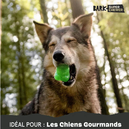Jouet à Mâcher Ultra Résistant pour Chien – Ours Distributeur de Friandises