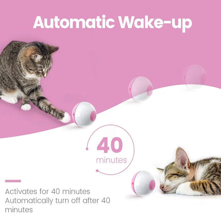 Balle interactive automatique pour chat avec LED – Rechargeable, intelligente et anti-ennui