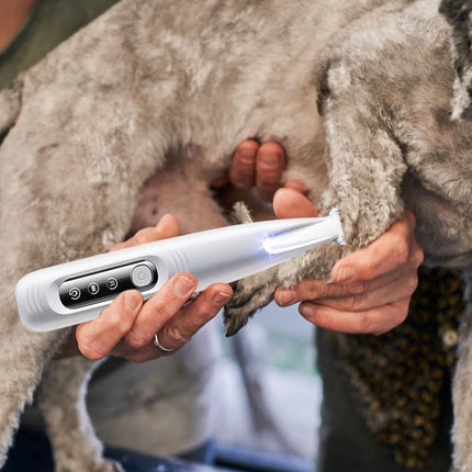 Tondeuse de précision pour animaux – Chiens & Chats