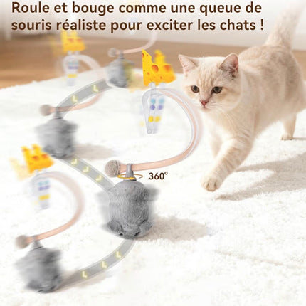 Jouet Interactif Intelligent pour Chat – Souris Électrique Rechargeable avec Catnip & Mouvement Réaliste