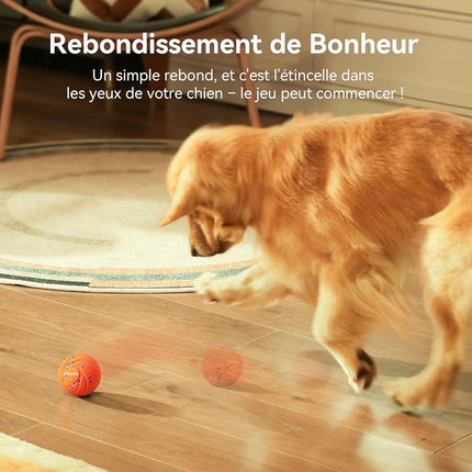 Balle interactive intelligente pour chien – 3 modes de jeu, rechargeable et résistante à l’eau