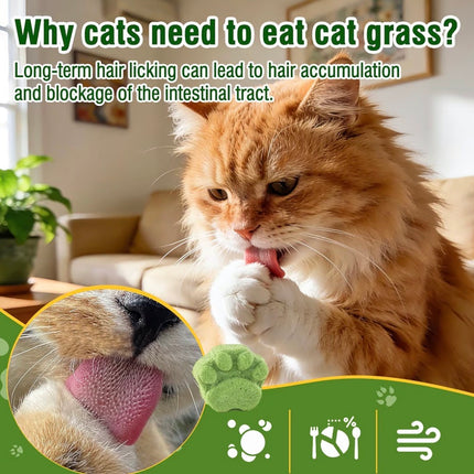Friandises à l’herbe à chat pour chats – Aide anti-boules de poils et digestion