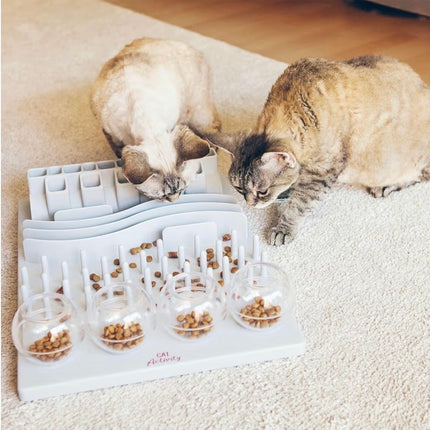 Jeu d’Enrichissement Alimentaire pour Chat – Plateau Anti-Glouton et Stimulation Mentale