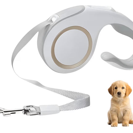 Laisse Rétractable pour Chien 5 m – Poignée Ergonomique et Frein à Une Main