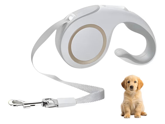 Laisse Rétractable pour Chien 5 m – Poignée Ergonomique et Frein à Une Main