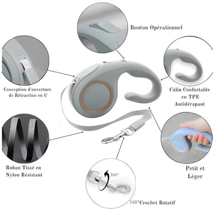 Laisse Rétractable pour Chien 5 m – Poignée Ergonomique et Frein à Une Main