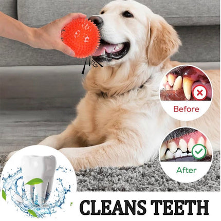 Lot de balles interactives pour chien – Balles couinantes résistantes et flottantes