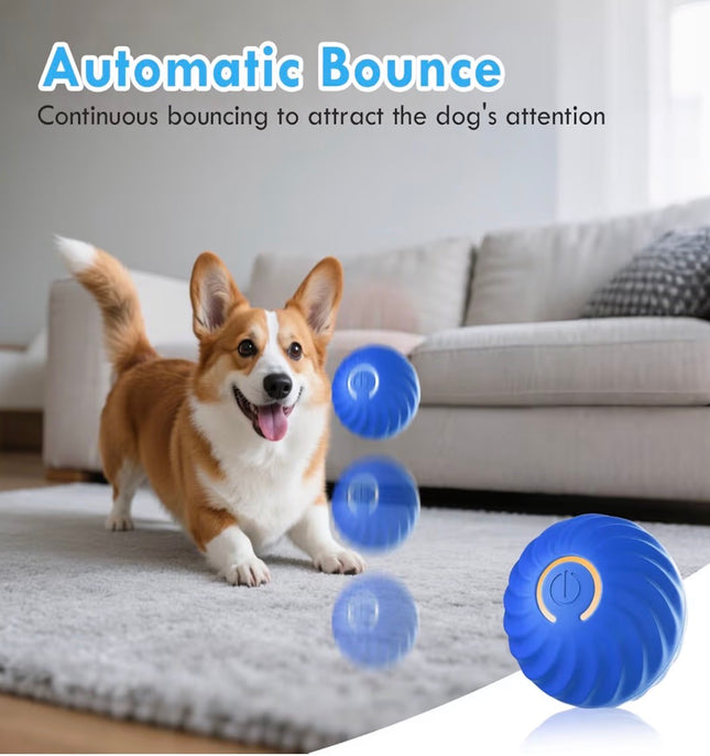 Balle interactive automatique pour chien – Rebond intelligent, rechargeable USB-C