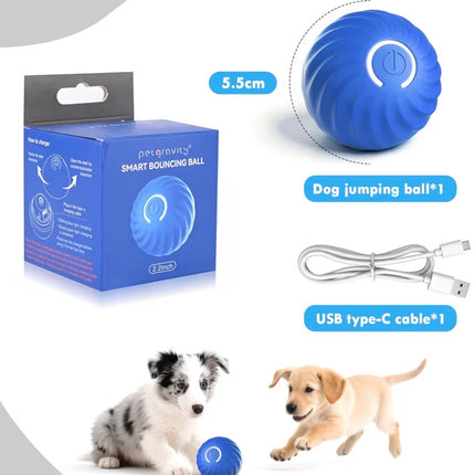Balle interactive automatique pour chien – Rebond intelligent, rechargeable USB-C