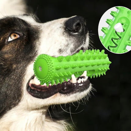 Jouet Dentaire pour Chien – Brosse à Dents Interactive et Résistante