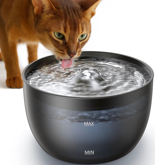 Distributeurs automatiques d’eau pour chats et chiens