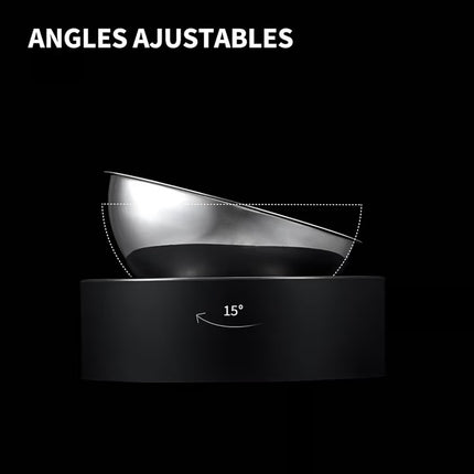 Gamelle Double Surélevée en Acier Inoxydable pour Chat et Petit Chien