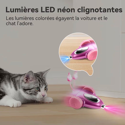 Jouet Interactif Intelligent pour Chat
