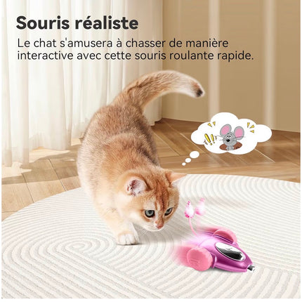 Jouet Interactif Intelligent pour Chat