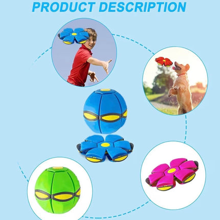 Balle Interactive Transformable pour Chien  – Jouet Ludique et Résistant