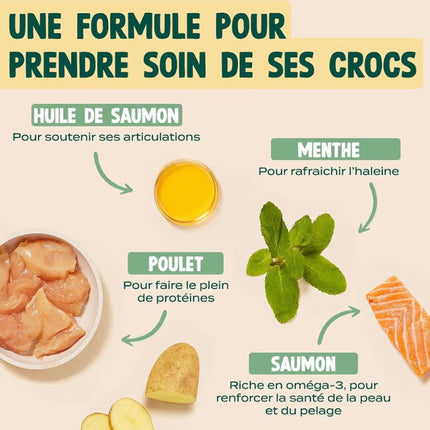 Friandises dentaires pour chat au saumon et à la menthe – Haleine fraîche et anti-tartre