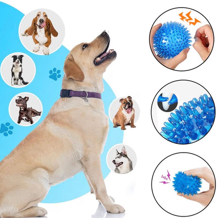 Lot de balles interactives pour chien – Balles couinantes résistantes et flottantes