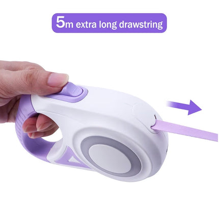 Laisse rétractable pour chien 5 m avec éclairage LED – Poignée ergonomique et frein sécurisé