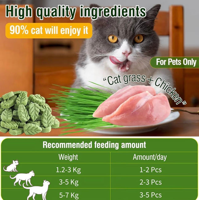 Feuilles d’Herbe à Chat Comestibles – Friandises Naturelles Anti-Boules de Poils (50 g)