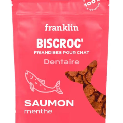 Friandises dentaires pour chat au saumon et à la menthe – Haleine fraîche et anti-tartre