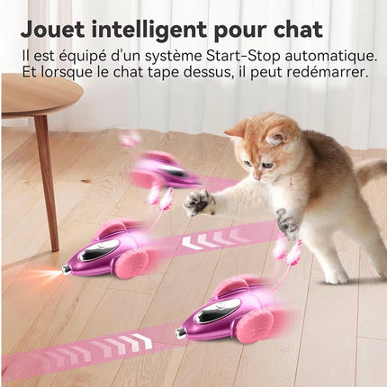 Jouet Interactif Intelligent pour Chat