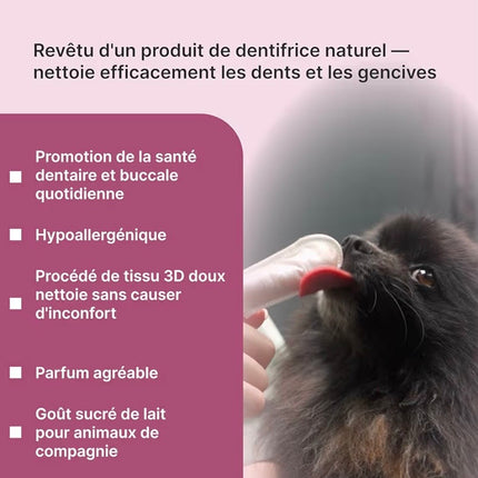 Lingettes Dentaires pour Chien & Chat – Doigtiers Nettoyants Sans Dentifrice – 35 Lingettes pour Hygiène Buccale Quotidienne