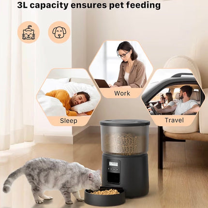 Distributeur Automatique de Croquettes pour Chat – Programmable avec Portions Réglables