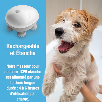 Masseur Électrique Relaxant pour Chien et Chat – Anti-Stress, Double Intensité