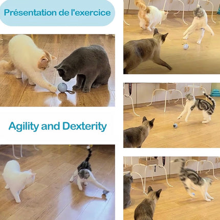 Jouet Interactif Intelligent pour Chat – Balle Automatique LED Rechargeable avec Plumes