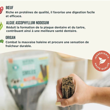 Sticks dentaires naturels pour chien – Goût bœuf 🥩 | Haleine fraîche & dents propres
