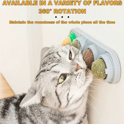 Jouet à lécher pour chat avec boules à herbe à chat – Anti-stress et hygiène dentaire