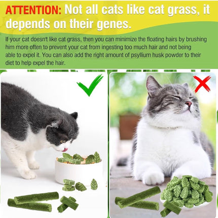 Feuilles d’Herbe à Chat Comestibles – Friandises Naturelles Anti-Boules de Poils (50 g)