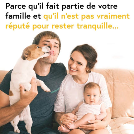 Thermomètre Chien & Chat iProven – Embout Flexible Ultra-Confort, Résultats Rapides