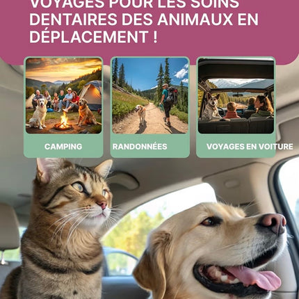 Lingettes Dentaires pour Chien & Chat – Doigtiers Nettoyants Sans Dentifrice – 35 Lingettes pour Hygiène Buccale Quotidienne