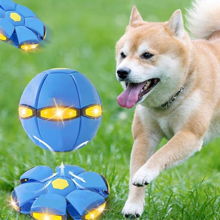 Balle Interactive Transformable pour Chien  – Jouet Ludique et Résistant
