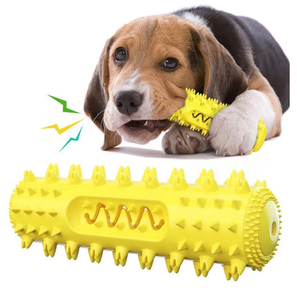 Jouet Dentaire pour Chien – Brosse à Dents Interactive et Résistante