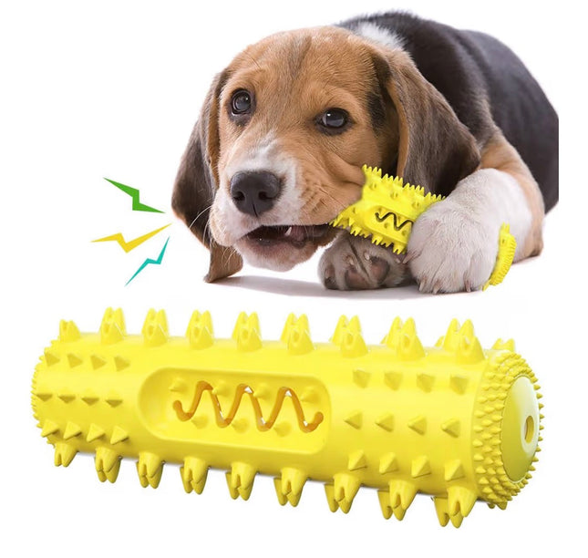 Jouet Dentaire pour Chien – Brosse à Dents Interactive et Résistante