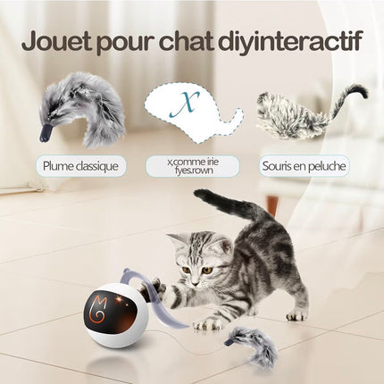 Jouet Interactif Intelligent pour Chat – Balle Automatique LED Rechargeable avec Plumes