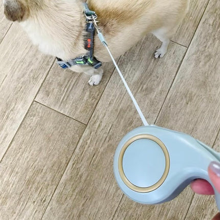 Laisse Rétractable pour Chien 5 m – Poignée Ergonomique et Frein à Une Main