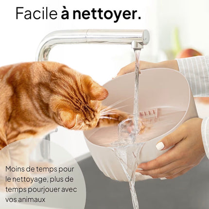 Fontaine à Eau Automatique Silencieuse pour Chat avec Filtration 3 Étapes