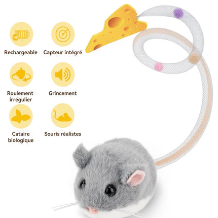 Jouet Interactif Intelligent pour Chat – Souris Électrique Rechargeable avec Catnip & Mouvement Réaliste