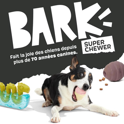 Jouet à Mâcher Ultra Résistant pour Chien – Ours Distributeur de Friandises