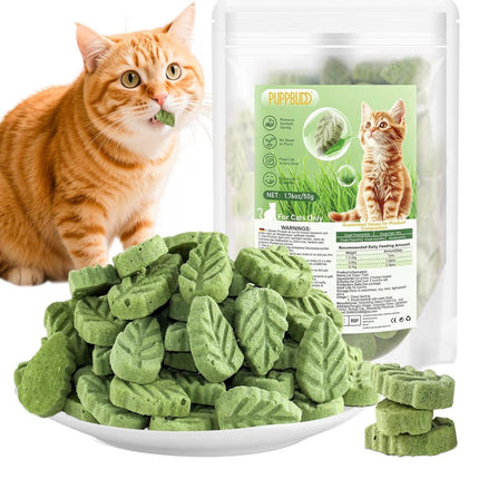 Feuilles d’Herbe à Chat Comestibles – Friandises Naturelles Anti-Boules de Poils (50 g)